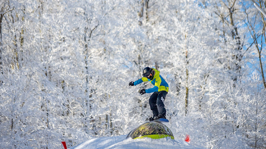 A snowboarder jibs a feature with a background of snow covered trees.